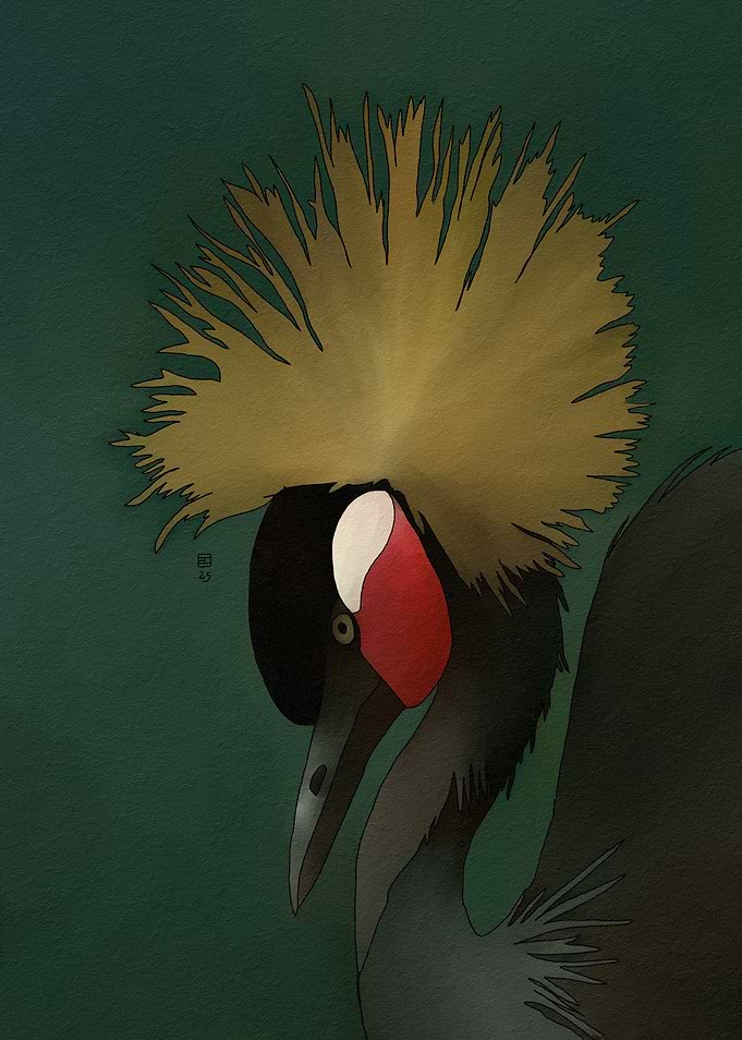 Black Crowned Crane Portrait