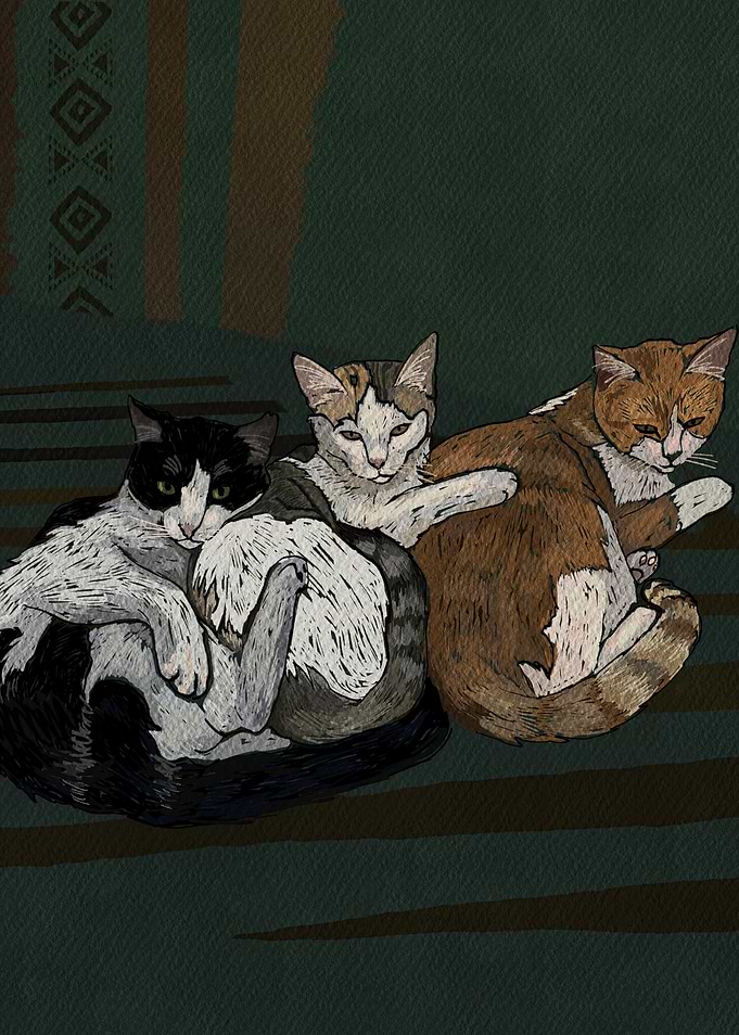 Feline Mafia Meeting