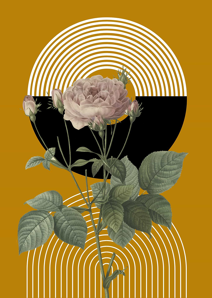 Rose with Geometric Shapes