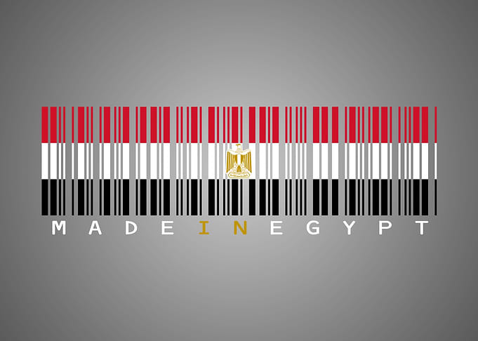 Egypt Barcode Flag