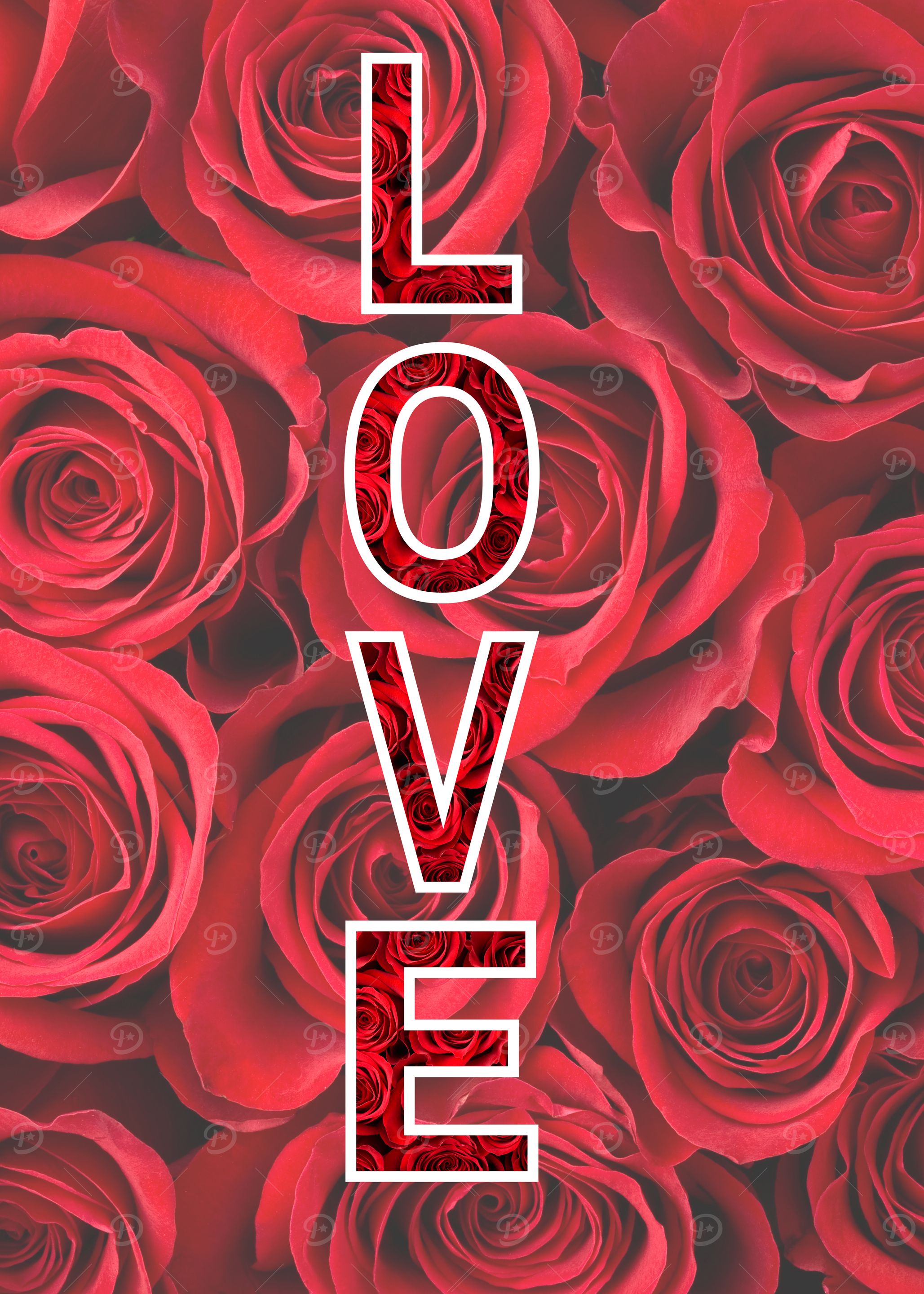 Love Roses