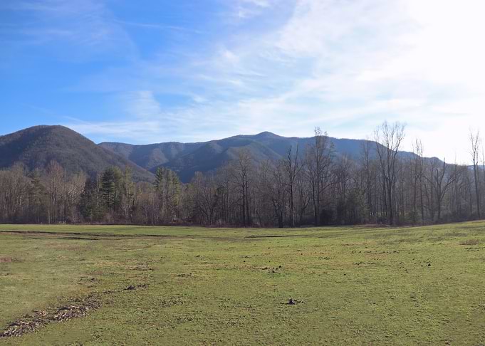 Evening In Cades Cove
