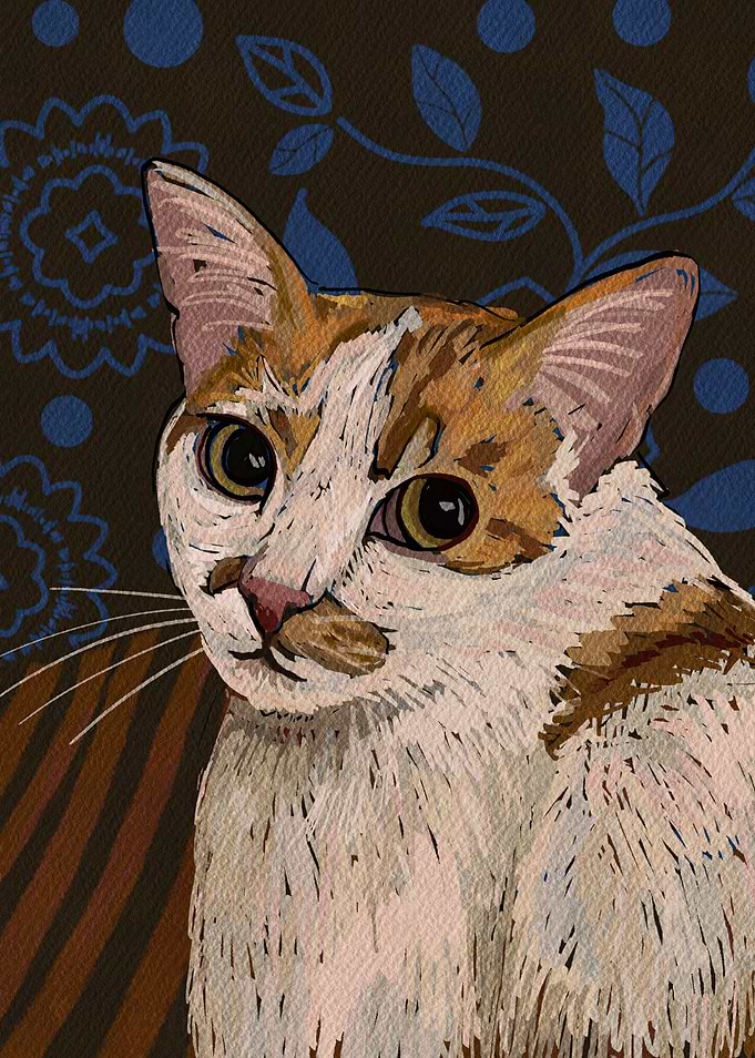 The All-Knowing Cat
