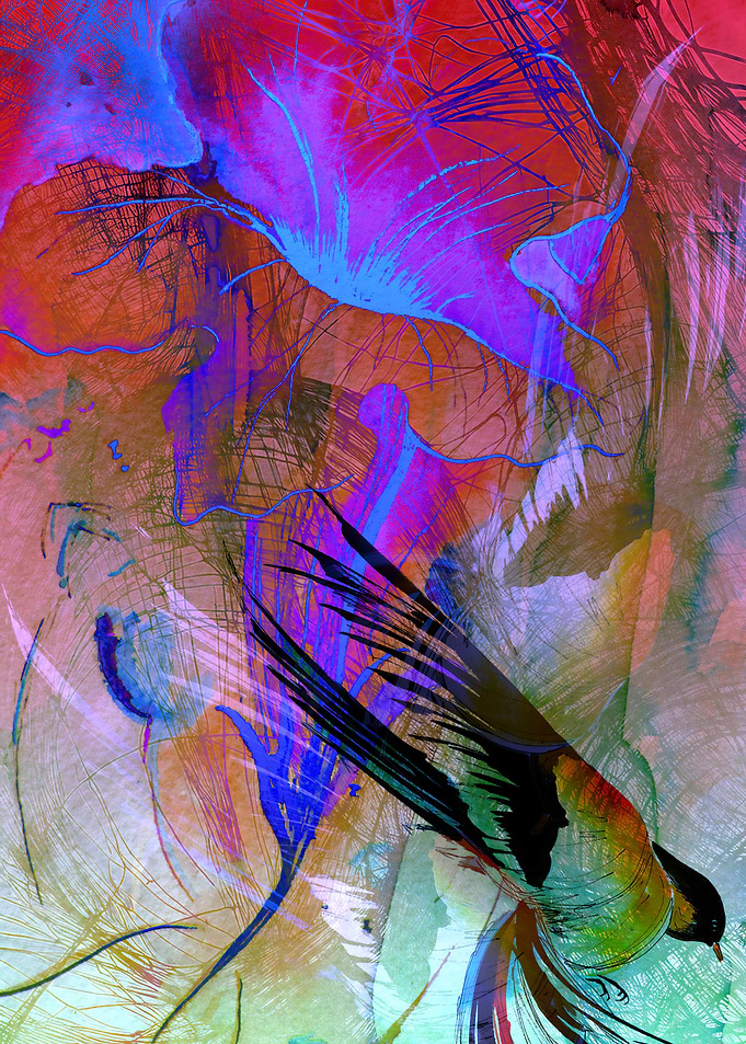 abstract memories of birds and flowers