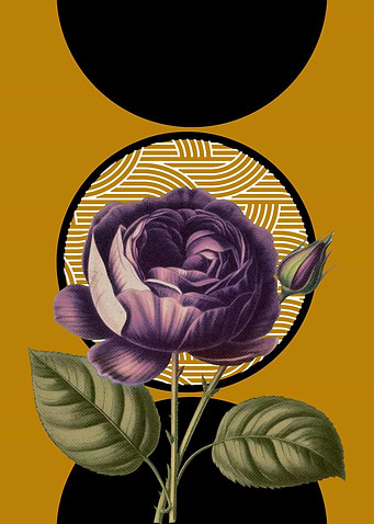 Purple Rose with Geometric Circles