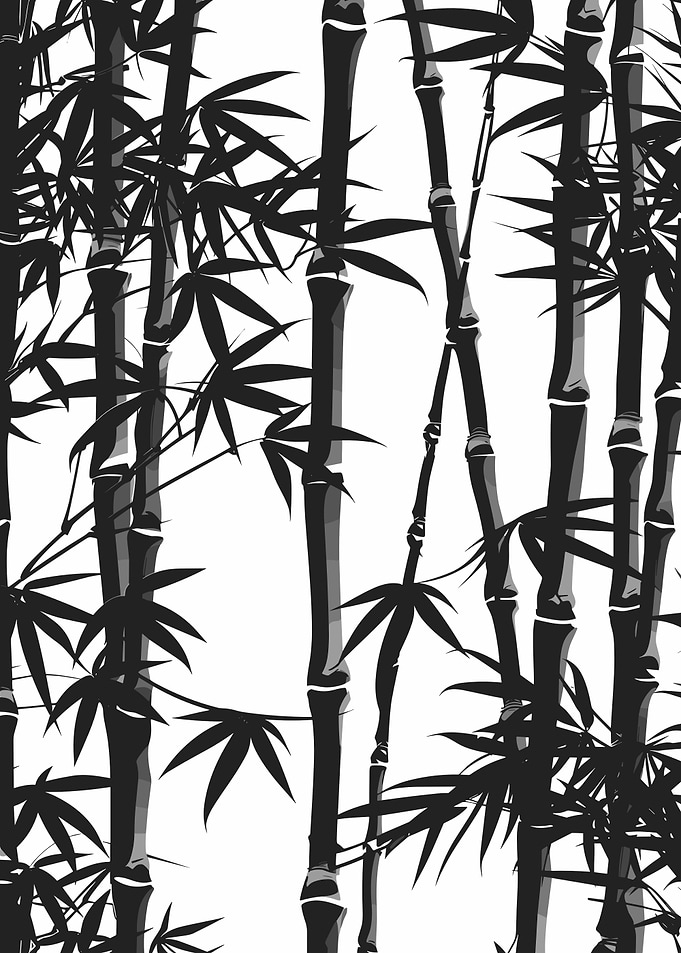 Black and White Bamboo
