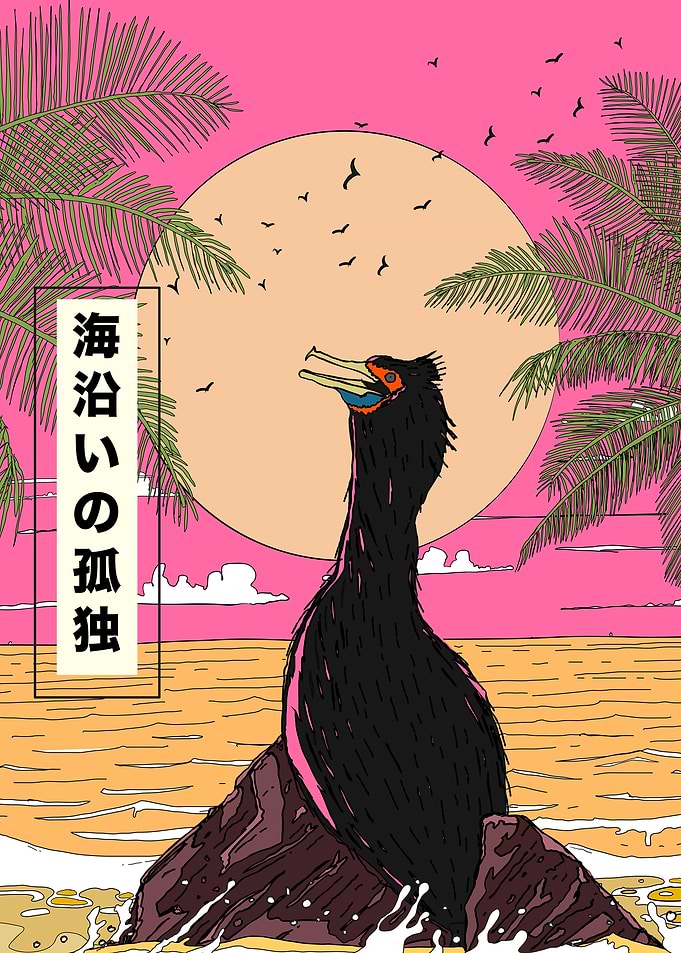 Seabird Sunset