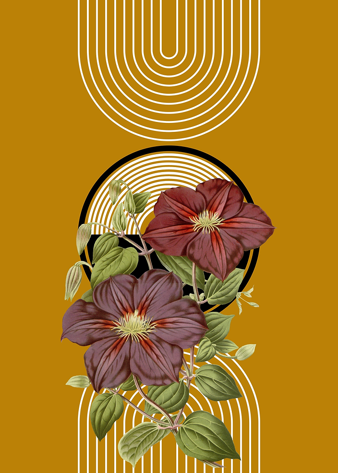 Floral Mid-Century Print