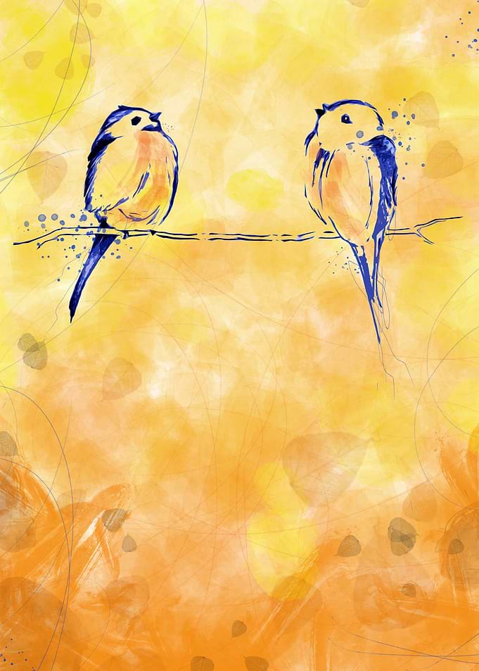 Bird Talk