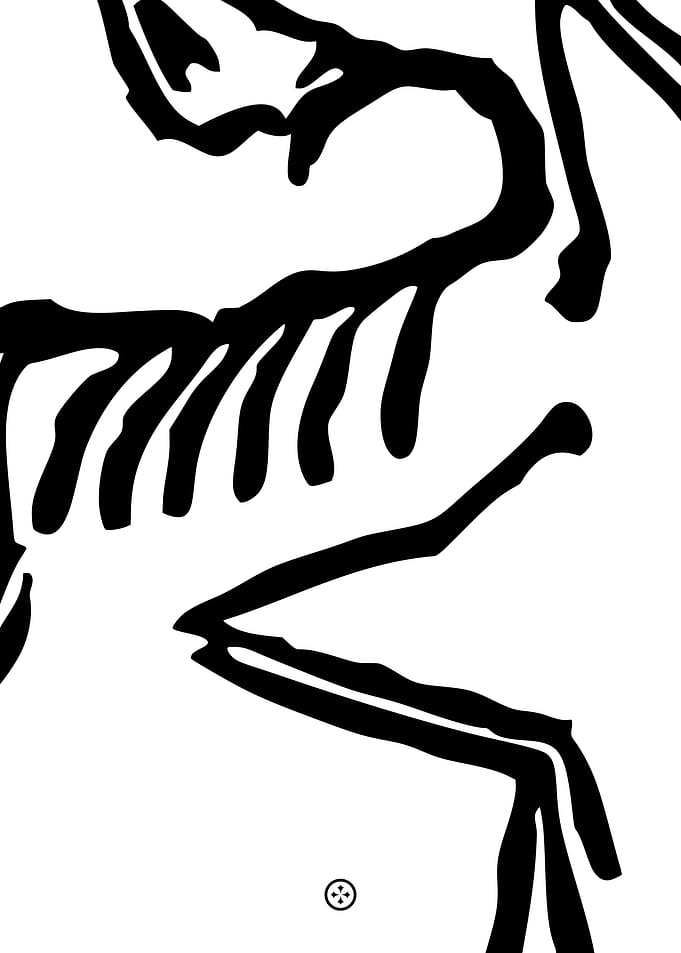 Arcteryx Poster