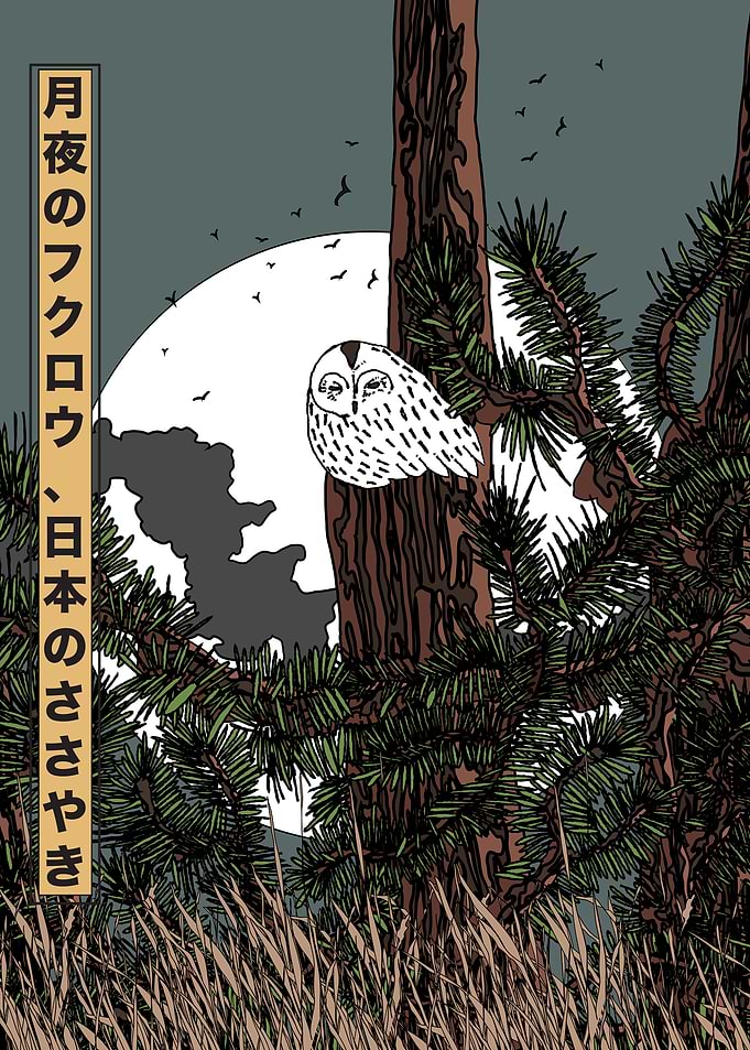 Owl in Moonlight Forest