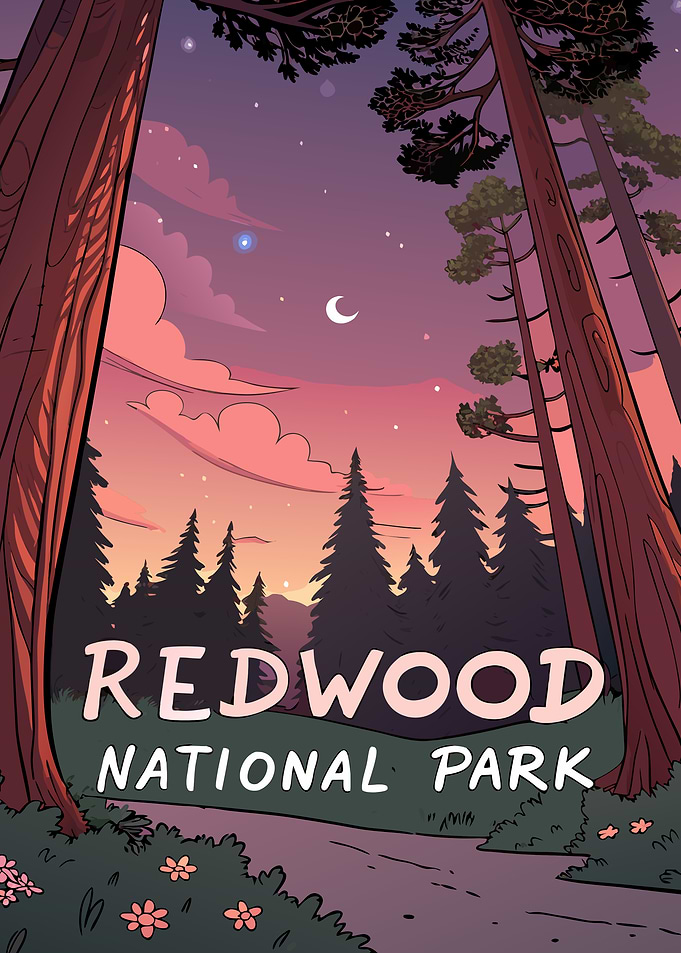 Redwood National Park Illustration