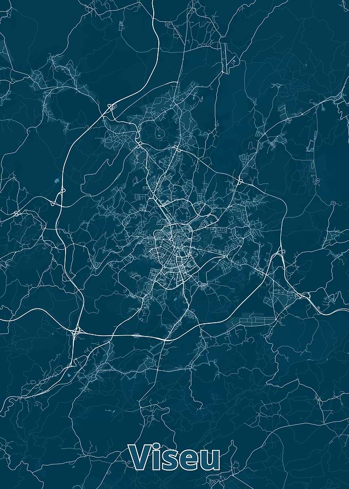 Visieu City Map