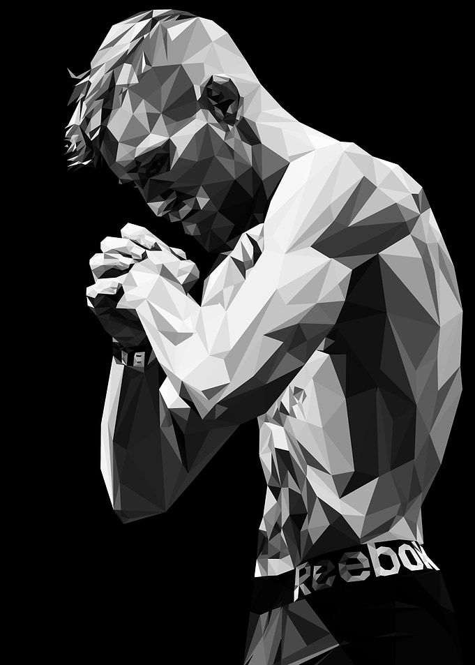 Low Poly Fighter