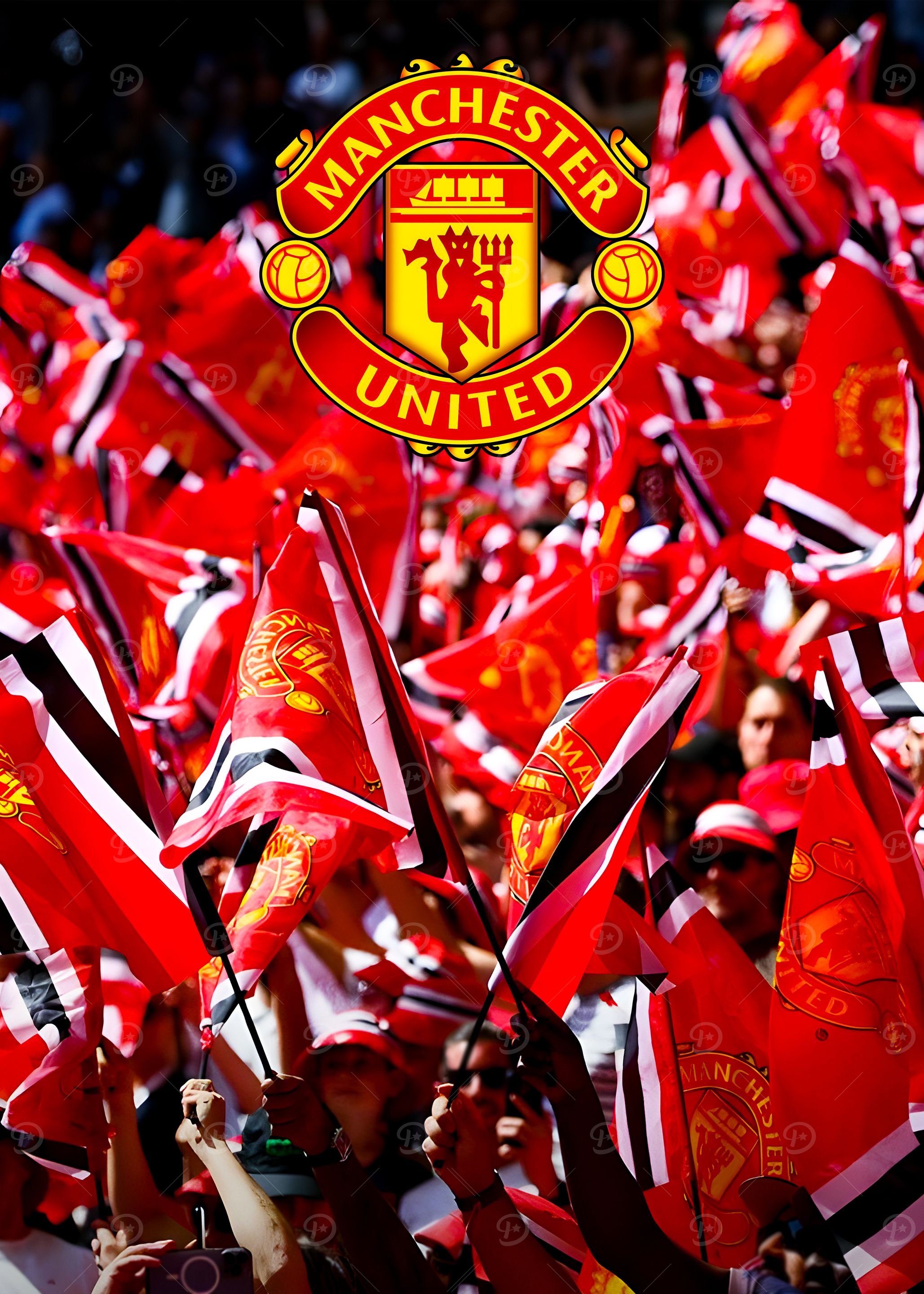 Manchester United Fans