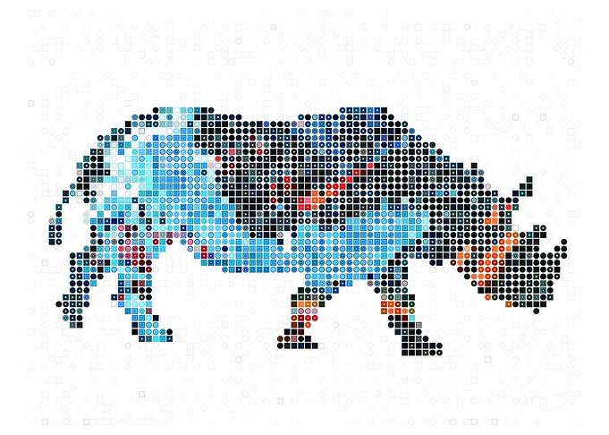 Rhino Colorful Mosaic