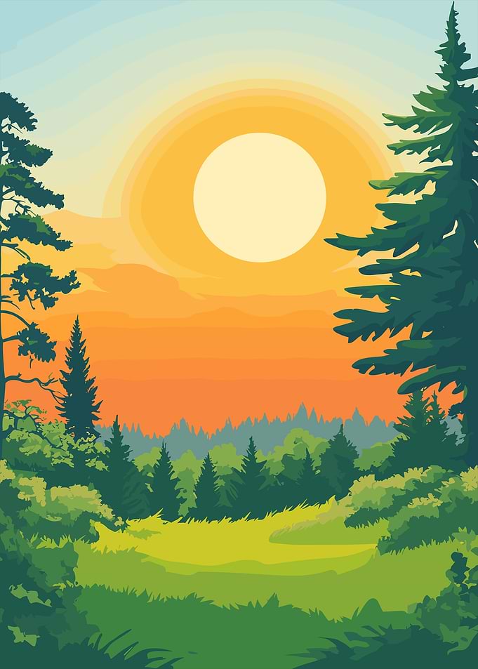 Sunset Forest Landscape