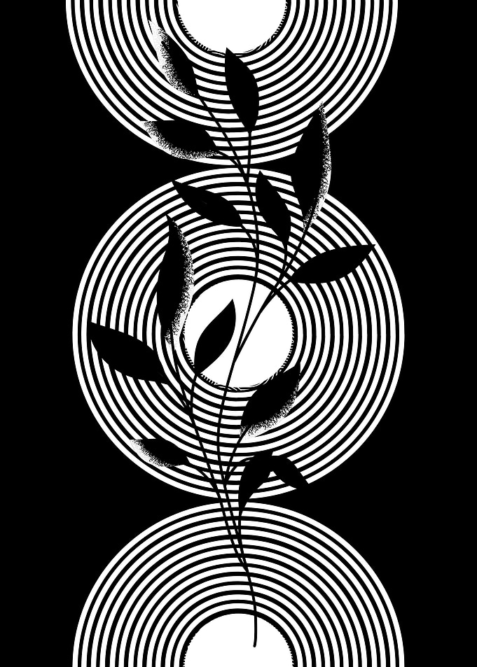 Black and White Floral Design