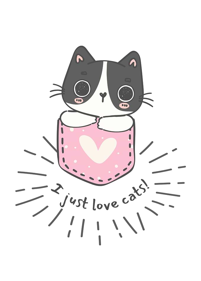 Cute Cat in Pocket