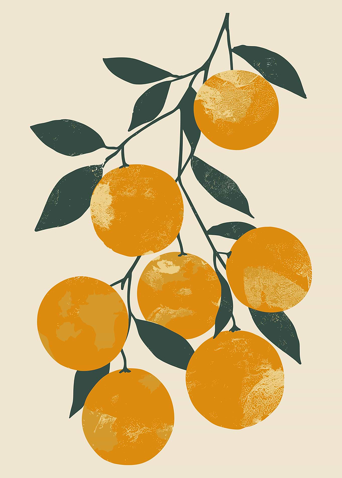 Orange Tree Botanical Print, Oranges Fruit Illustration, Farmhouse Kitchen Decor Wall Art, Vintage Citrus Fruit Market Poster, Foodie Gift