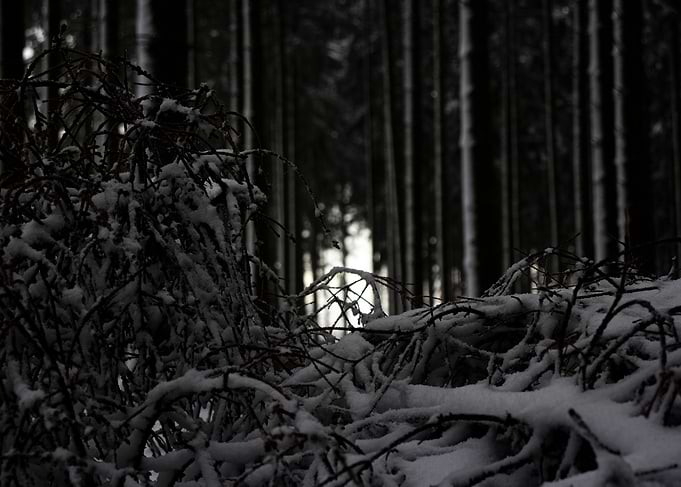 Snow doors