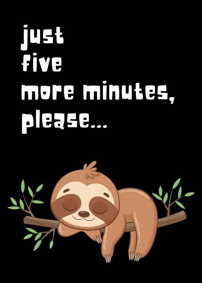 Sloth Five More Minutes
