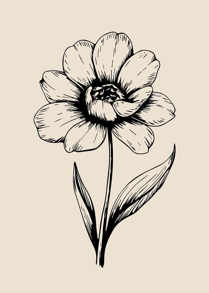 Hand-Drawn Vintage Flower Illustration