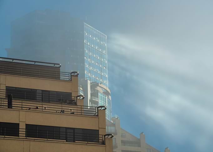 Fog-kissed Sunbeams