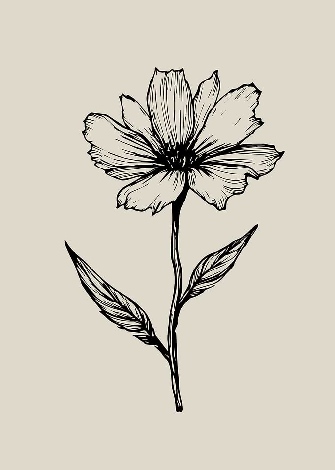 Vintage Botanical Ink Flower Drawing