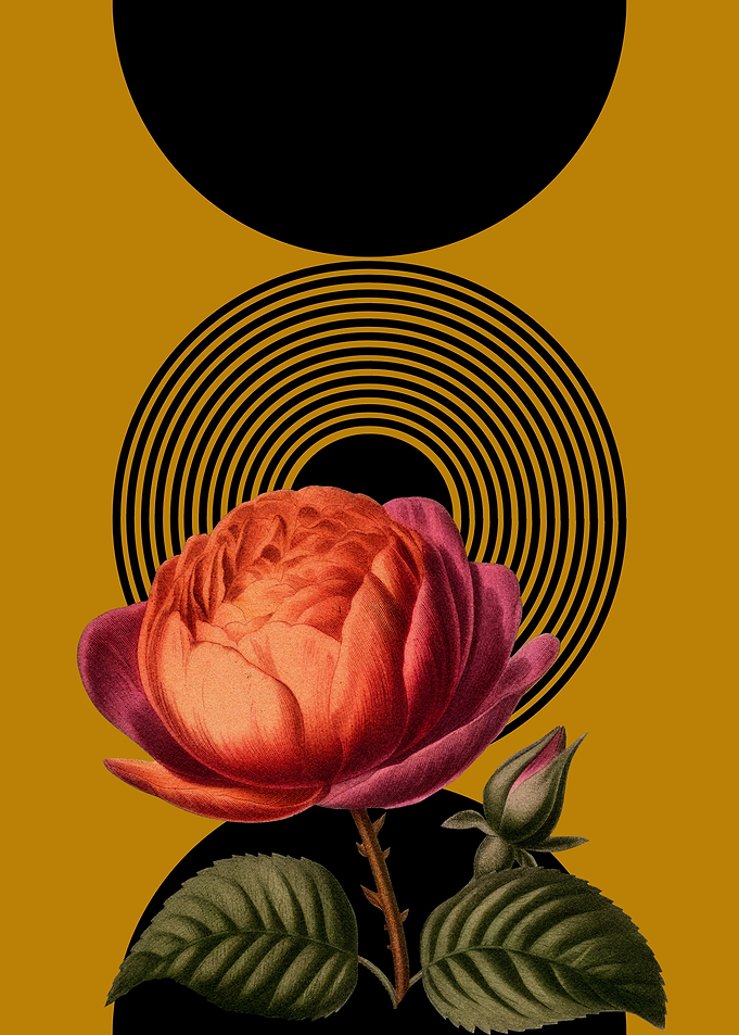 Rose and Geometric Shapes