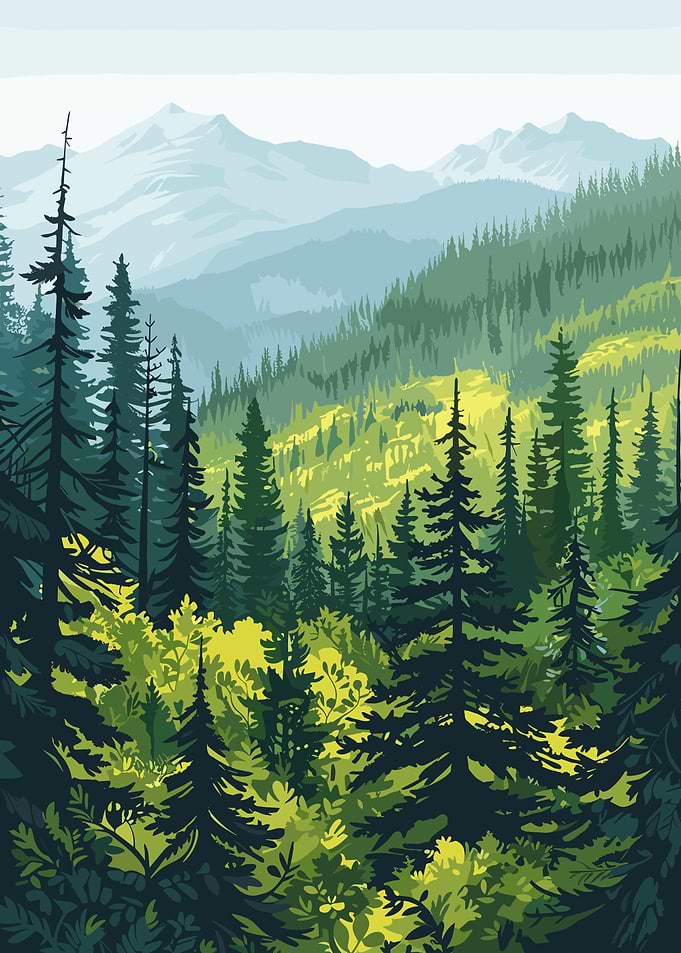 Boreal Forest of Canada