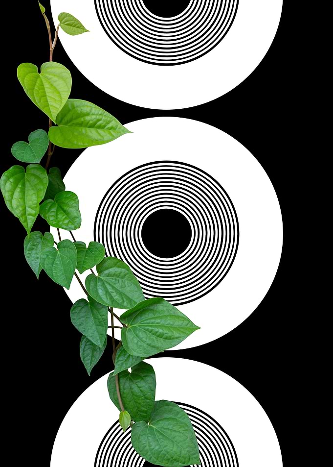 Green Vine and Circles
