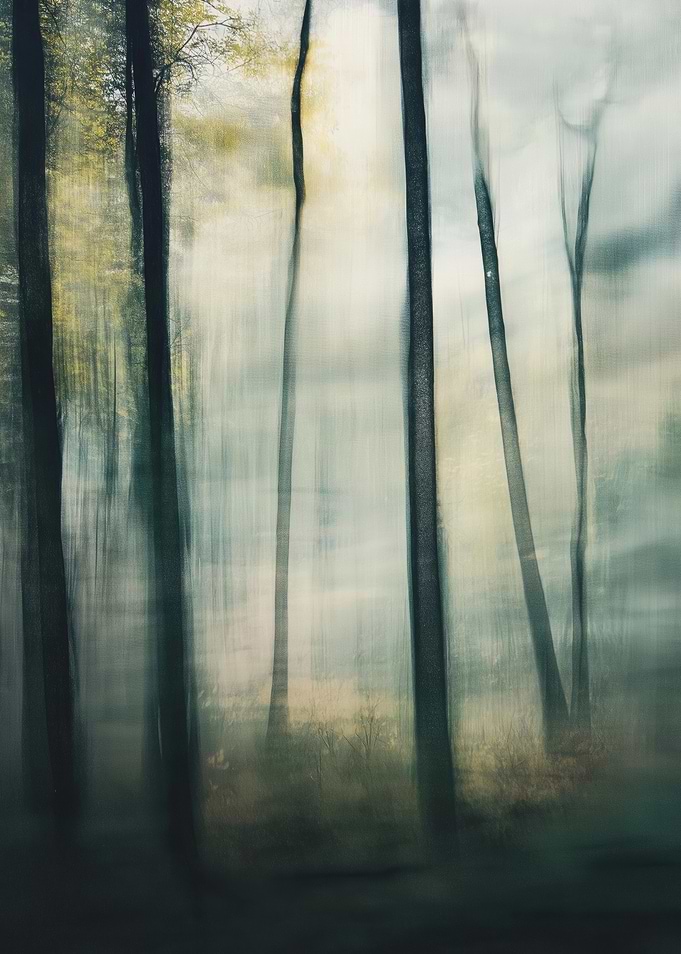 Blurred Forest