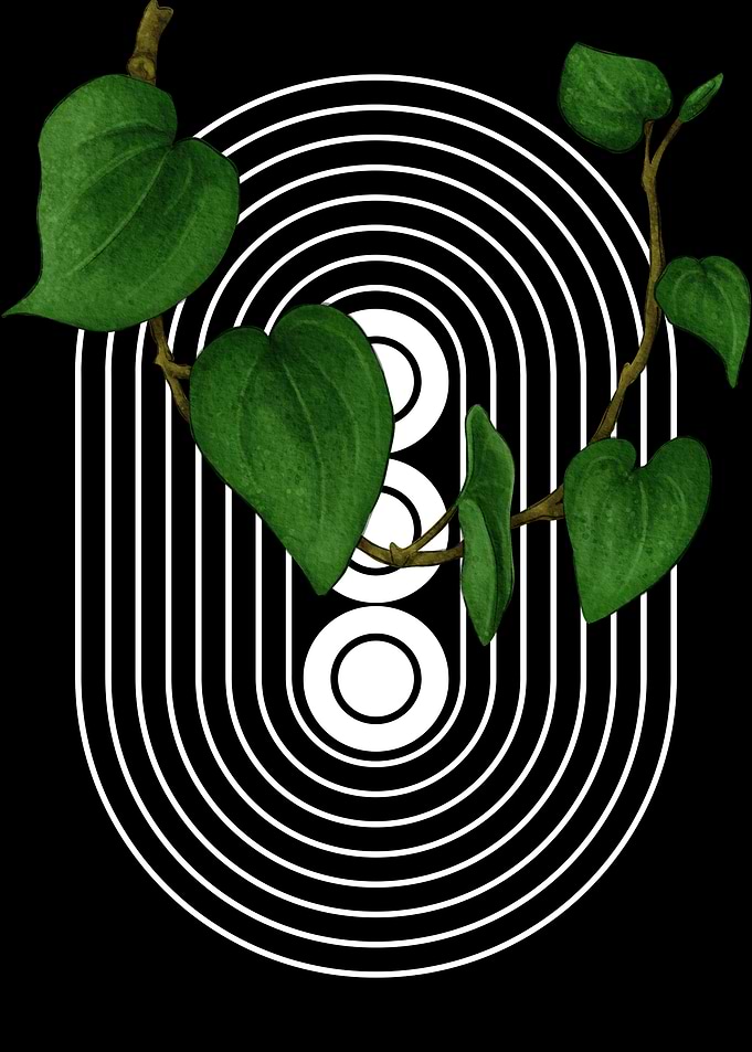 Green Leaves and White Arcs