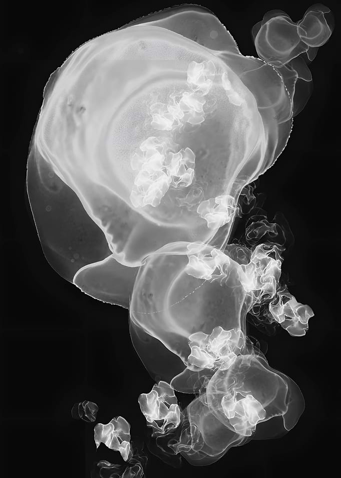 Minimalist Monochrome Ink Art