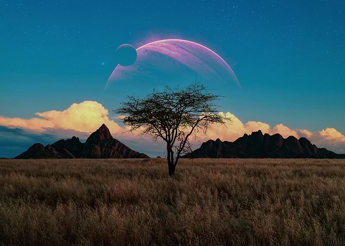 planetary treescape