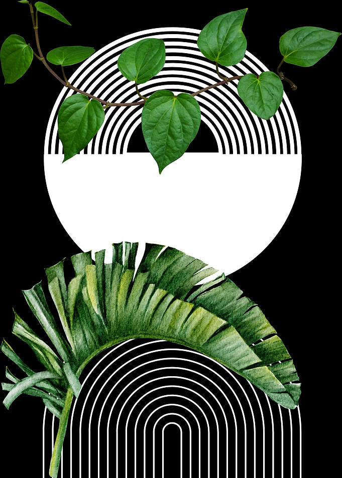Tropical Leaf Minimalist Art