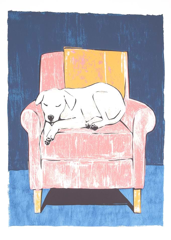 Sleeping Dog in Armchair