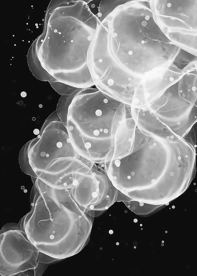 Fluid White Ink Bubbles on Black