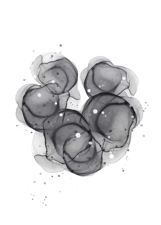 Monochrome Minimalist Ink Art