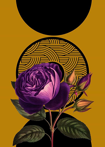 Purple Rose with Geometric Pattern