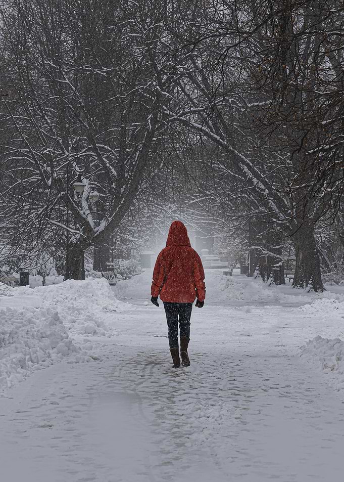 Snowy Walk