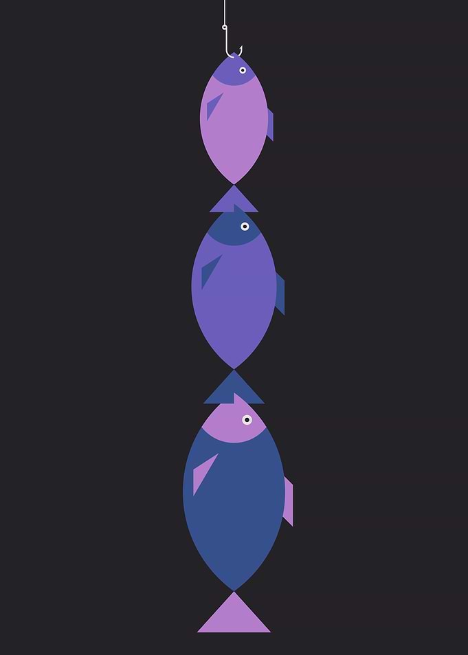 Big catch