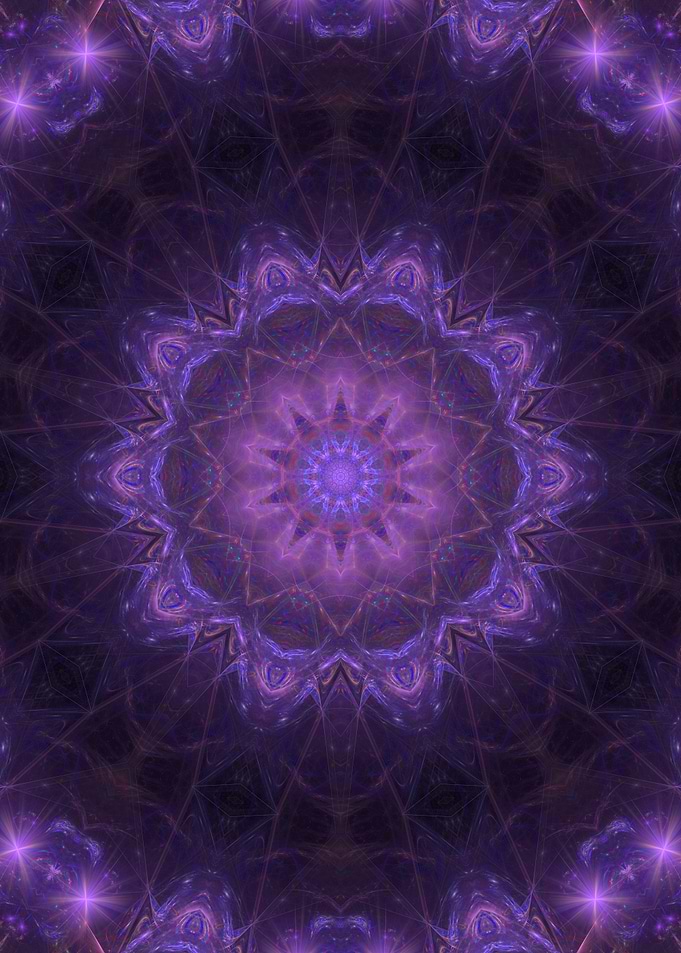 Lavender Blooms