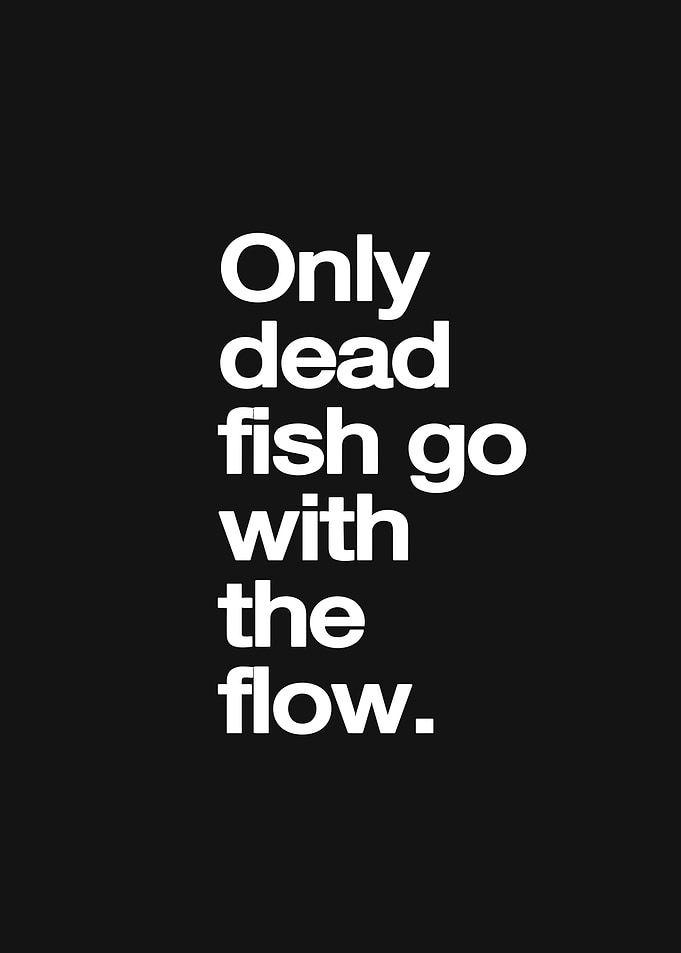 Dead Fish Quote