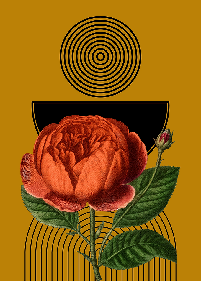 Rose with Geometric Shapes