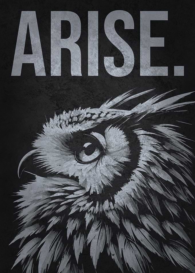 Owl Arise - Gym, Hustle, Success, Motivational