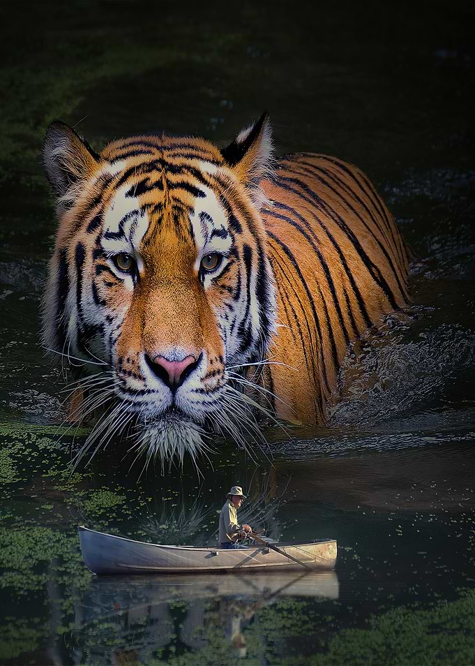 Tiger and Rowboat