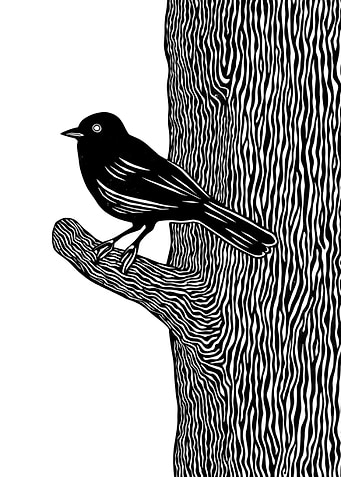 Blackbird on Branch