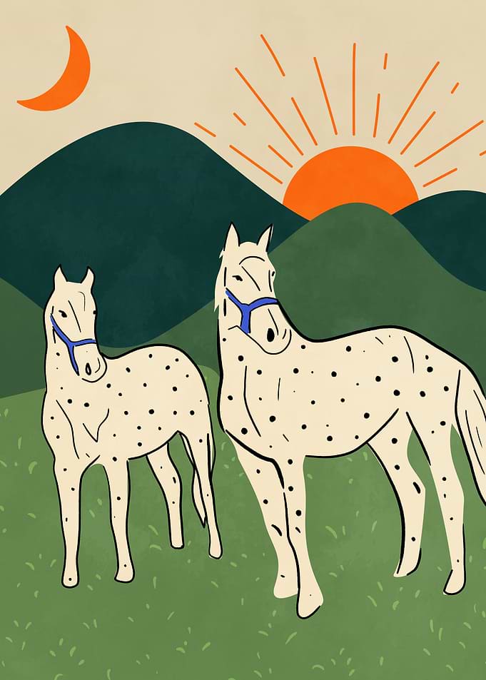Horses of the Highland